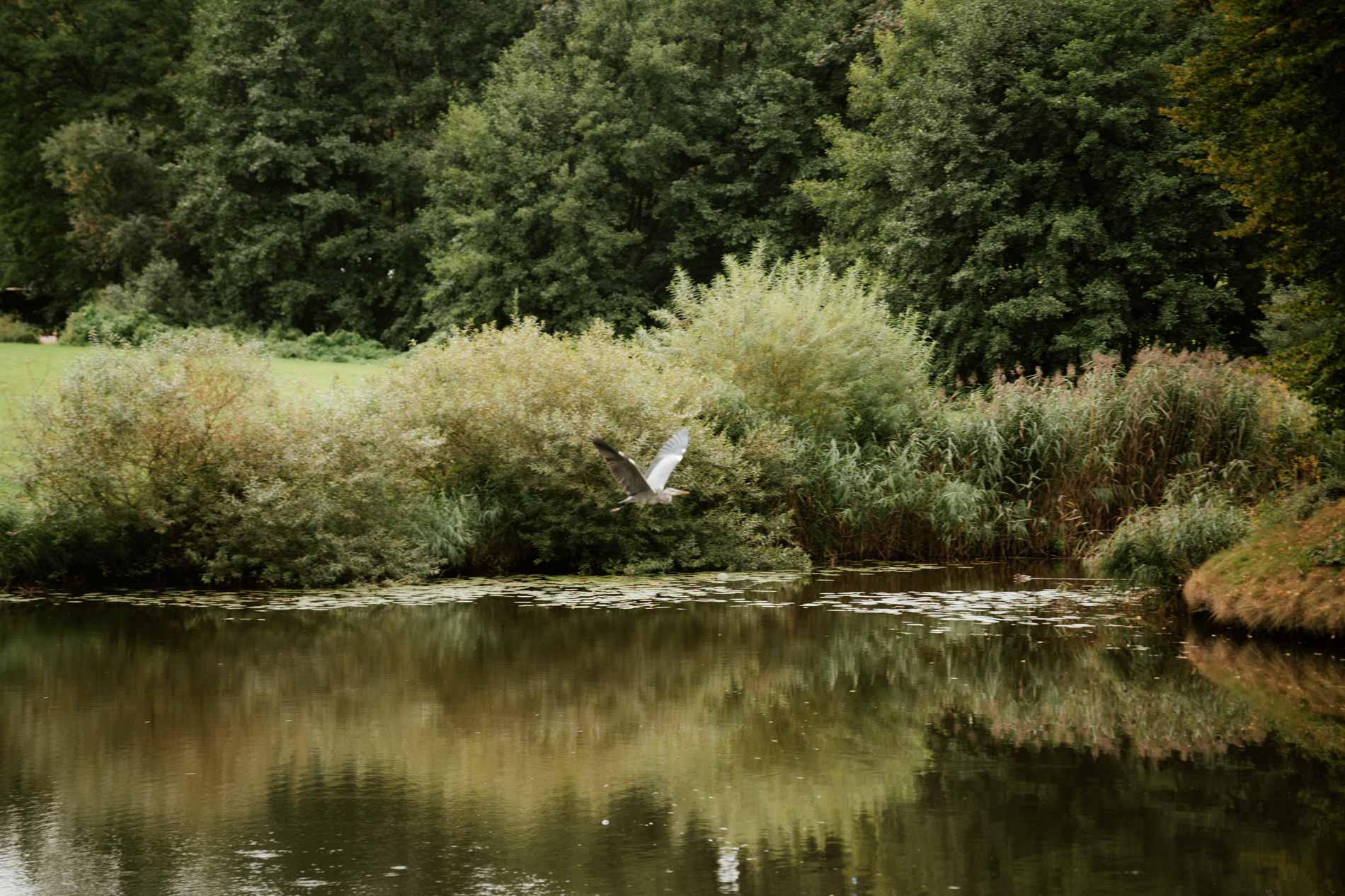Hochzeitsfotograf Videograf Hamburg Schloss Ahrensburg Standesamtliche Trauung